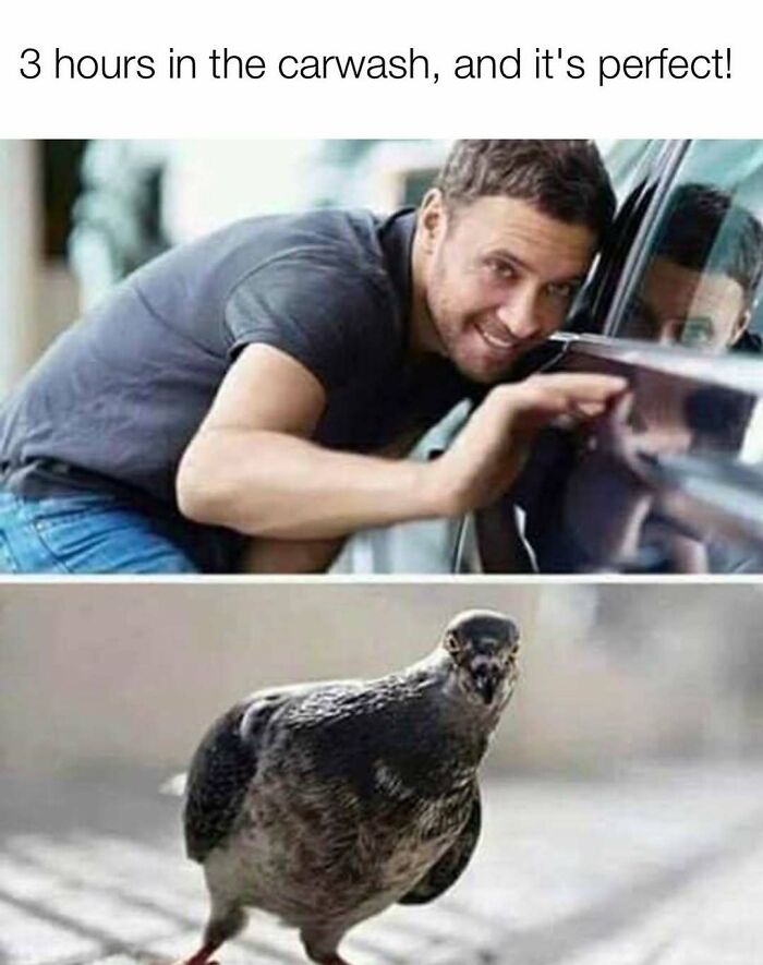 103 Memes That Are So Random, You'll Probably Laugh (Or At Least Smile)