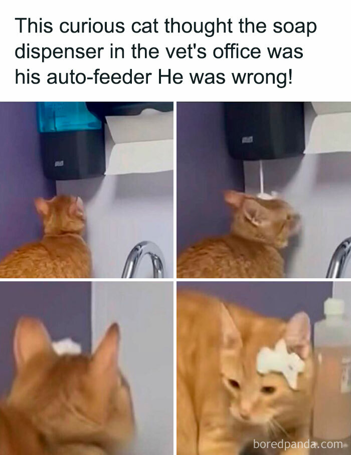 103 Memes That Are So Random, You'll Probably Laugh (Or At Least Smile)