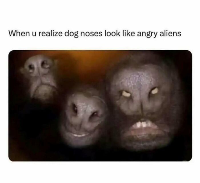 103 Memes That Are So Random, You'll Probably Laugh (Or At Least Smile)