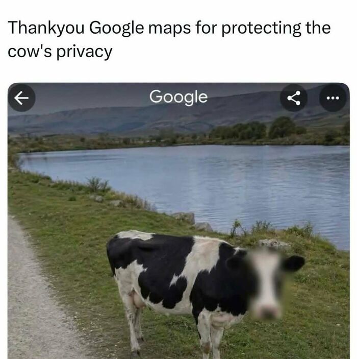 103 Memes That Are So Random, You'll Probably Laugh (Or At Least Smile)