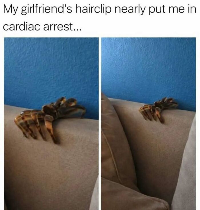103 Memes That Are So Random, You'll Probably Laugh (Or At Least Smile)