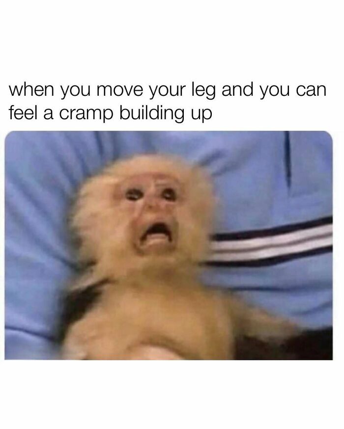 103 Memes That Are So Random, You'll Probably Laugh (Or At Least Smile)