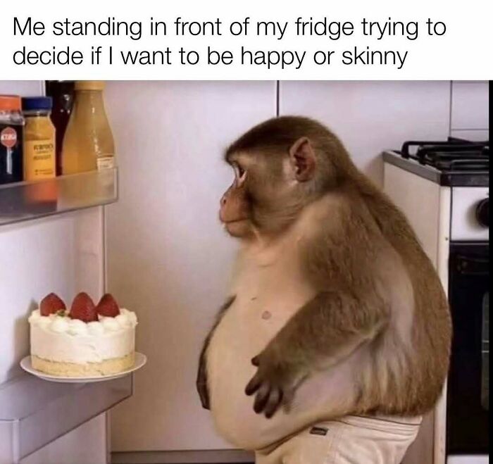 103 Memes That Are So Random, You'll Probably Laugh (Or At Least Smile)