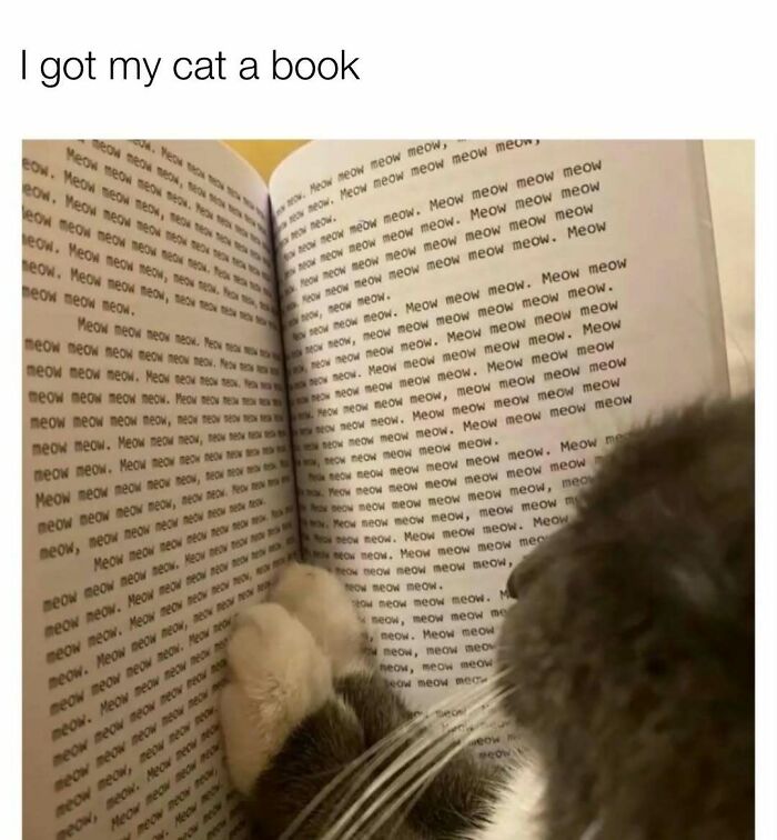 103 Memes That Are So Random, You'll Probably Laugh (Or At Least Smile)