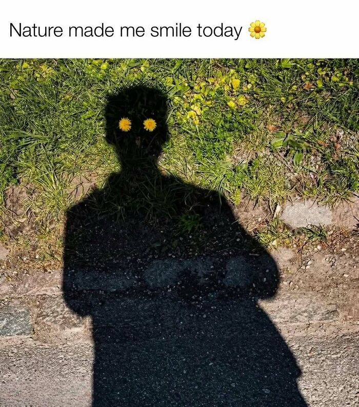103 Memes That Are So Random, You'll Probably Laugh (Or At Least Smile)