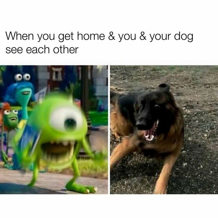103 Memes That Are So Random, You'll Probably Laugh (Or At Least Smile)