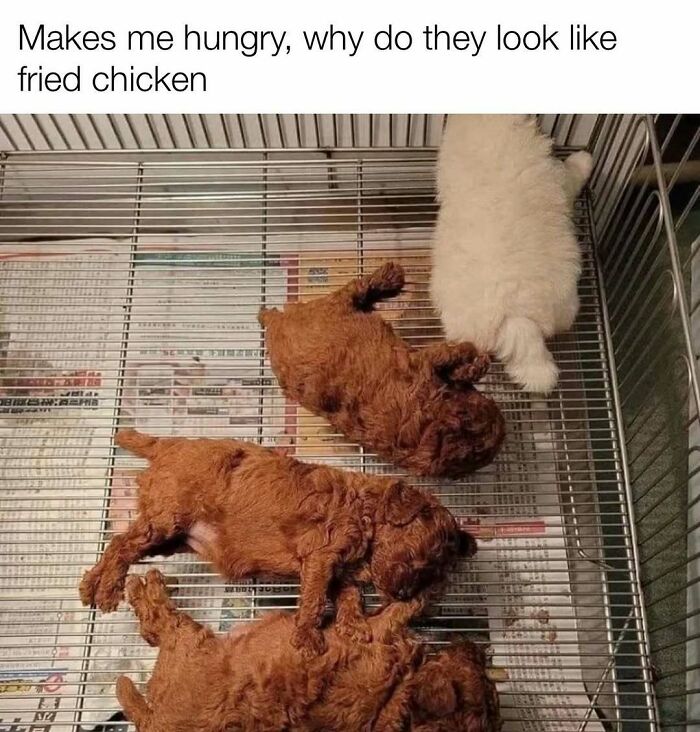 103 Memes That Are So Random, You'll Probably Laugh (Or At Least Smile)
