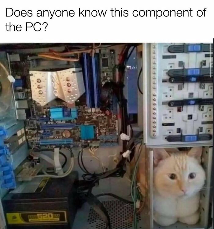 103 Memes That Are So Random, You'll Probably Laugh (Or At Least Smile)