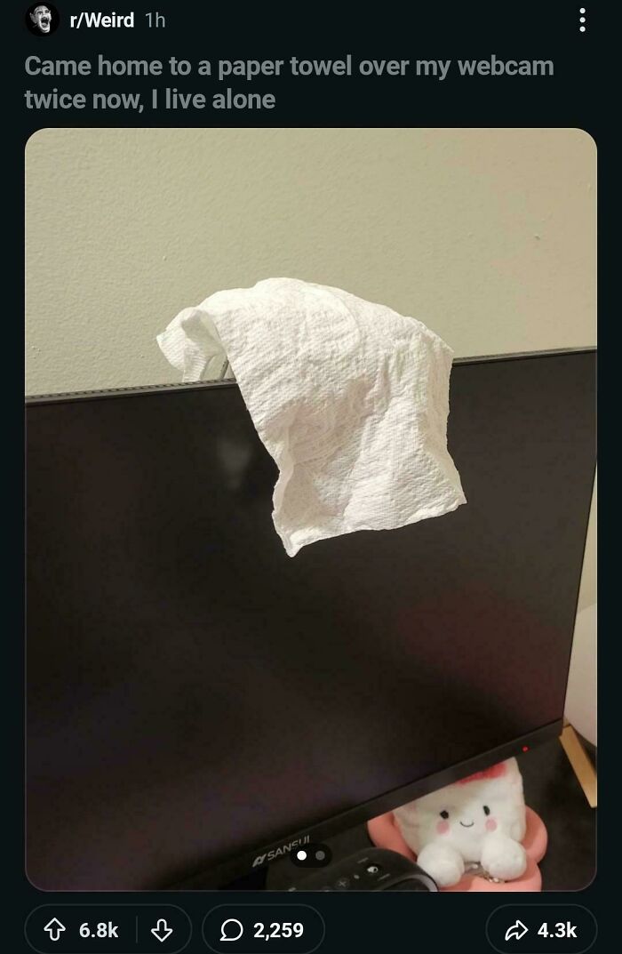 Wild Pics That Scream "Wait, That Didn't Really Happen!"