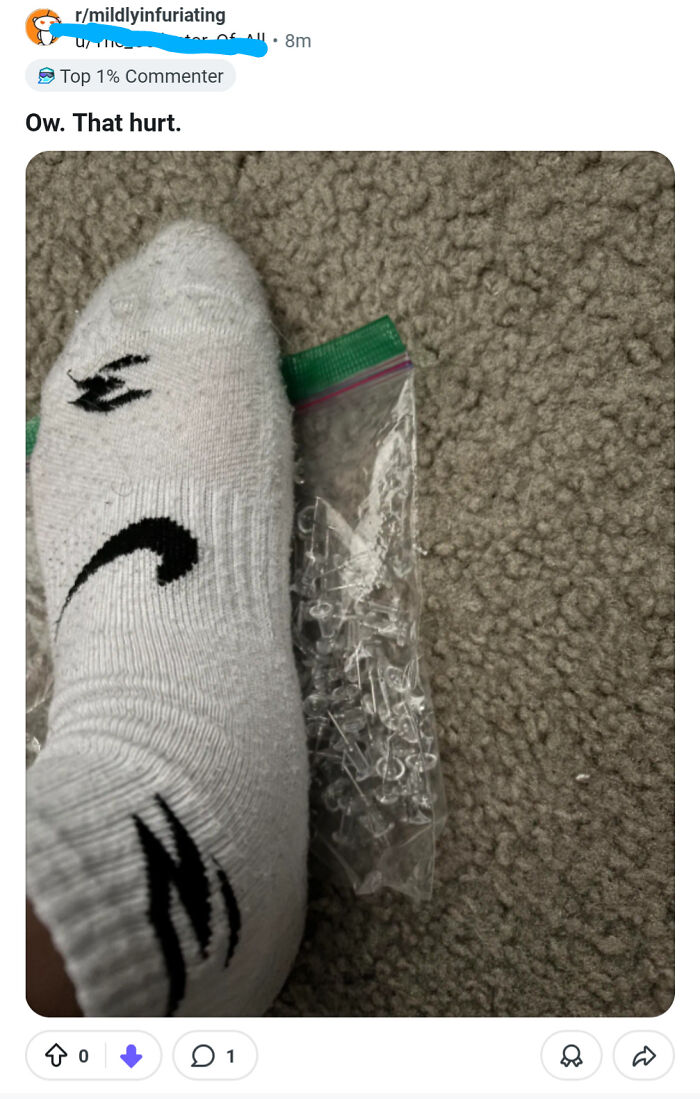 Wild Pics That Scream "Wait, That Didn't Really Happen!"