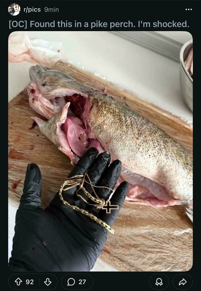 Wild Pics That Scream "Wait, That Didn't Really Happen!"