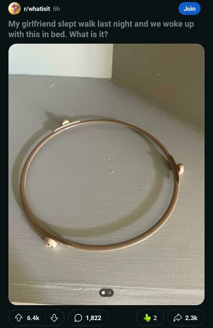 Wild Pics That Scream "Wait, That Didn't Really Happen!"