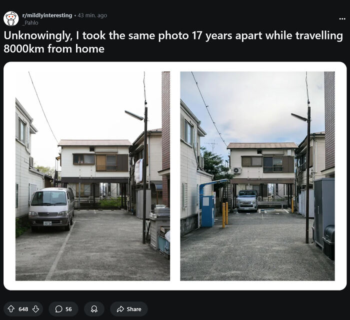 Wild Pics That Scream "Wait, That Didn't Really Happen!"
