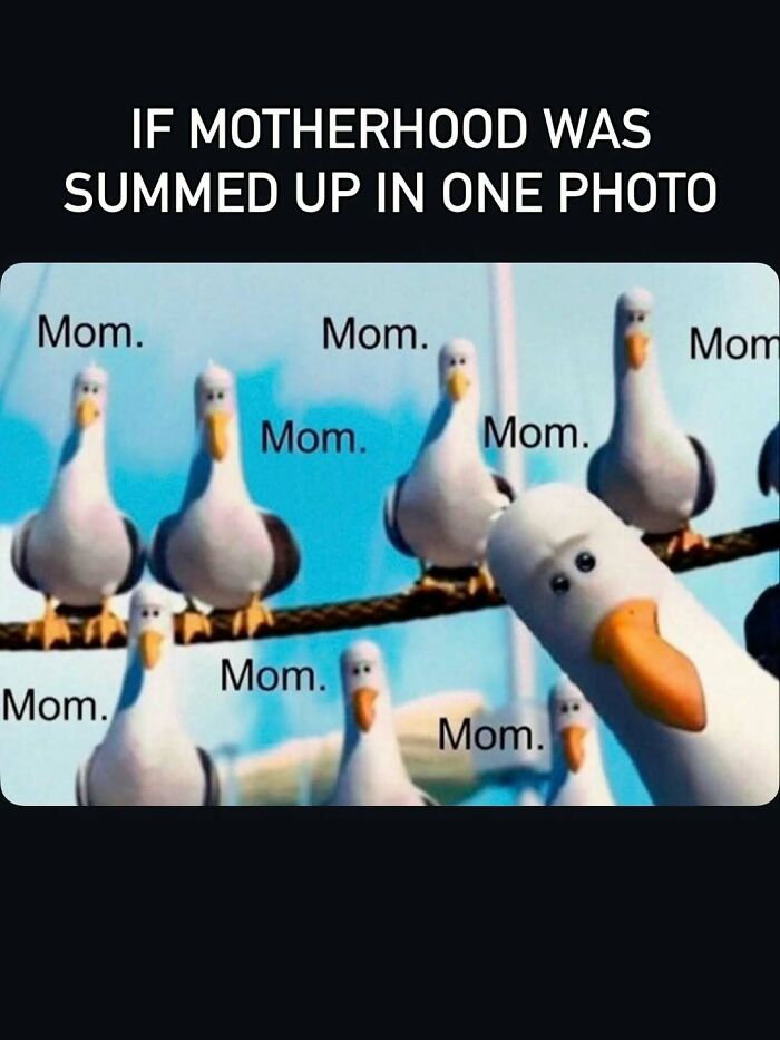 Wait Till You See These 63 Mom Memes That Are Basically Comedy Gold
