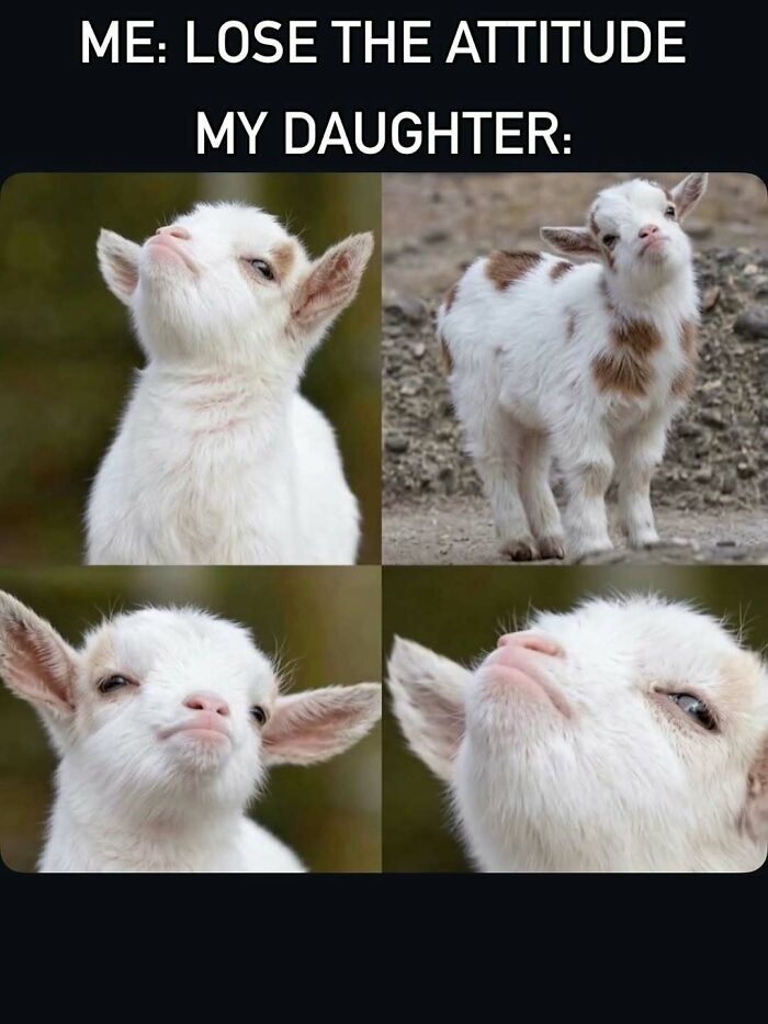 Wait Till You See These 63 Mom Memes That Are Basically Comedy Gold