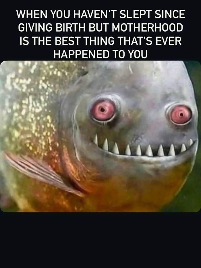 Wait Till You See These 63 Mom Memes That Are Basically Comedy Gold