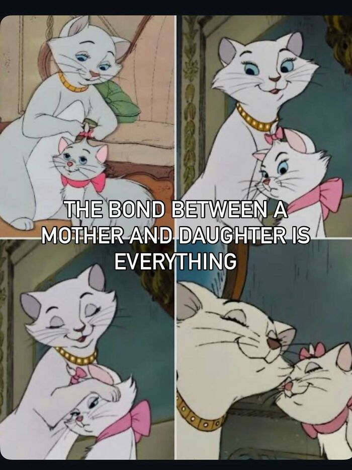 Wait Till You See These 63 Mom Memes That Are Basically Comedy Gold