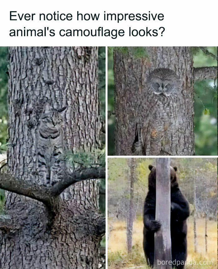 Camo Level: So Good, Even You Can’t Find Yourself