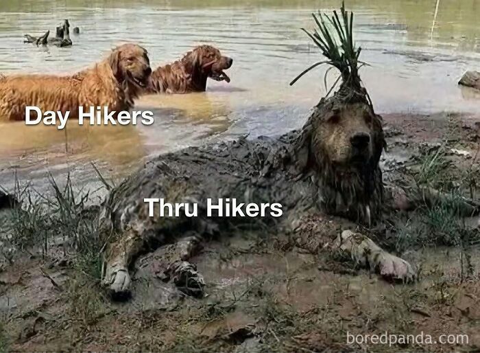 Wait, They Actually Made Memes About Hiking And Camping? Yes, And They're Hilarious!