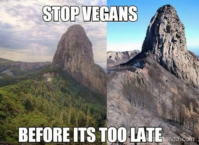Wait, They Actually Made Memes About Hiking And Camping? Yes, And They're Hilarious!