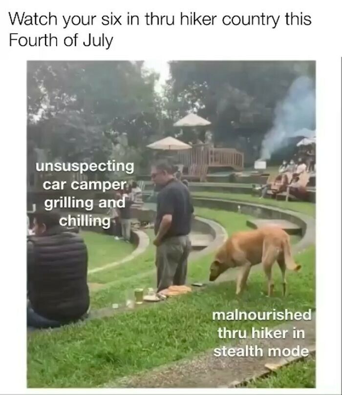 Wait, They Actually Made Memes About Hiking And Camping? Yes, And They're Hilarious!