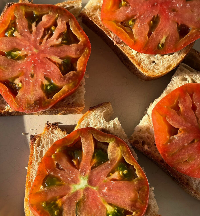 Let's Rank Surprise Comfort Foods That Are So Good, It's Wild