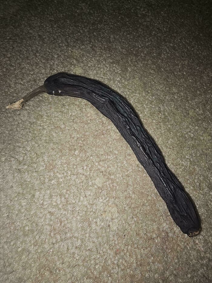 My 6-Year-Old ‘Petrified’ Banana: Stone Cold Banana!