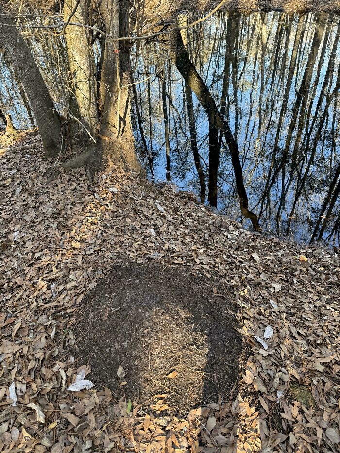 Wait, People Actually Found These Crazy Weird Things?!