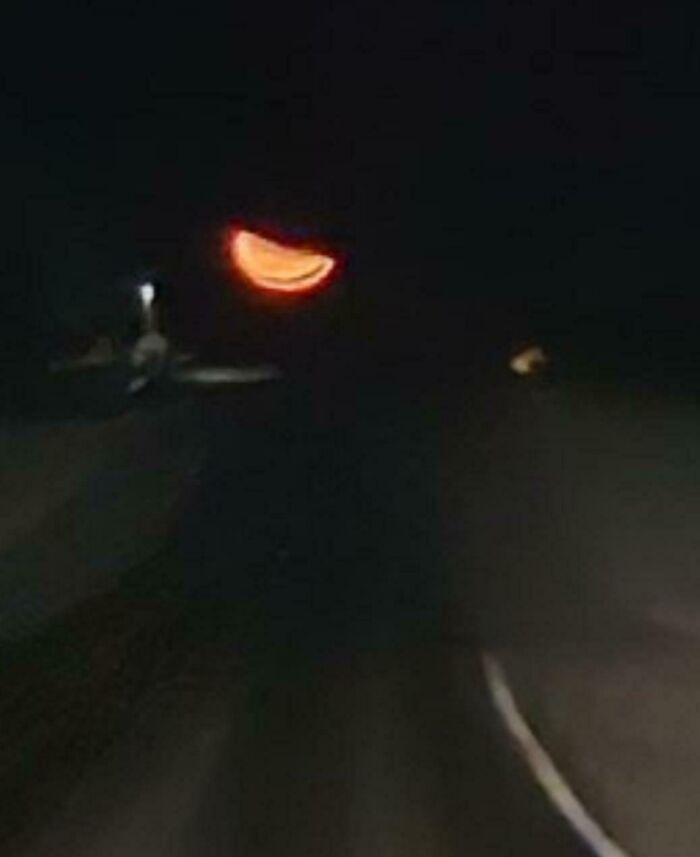 Wait, People Actually Found These Crazy Weird Things?!