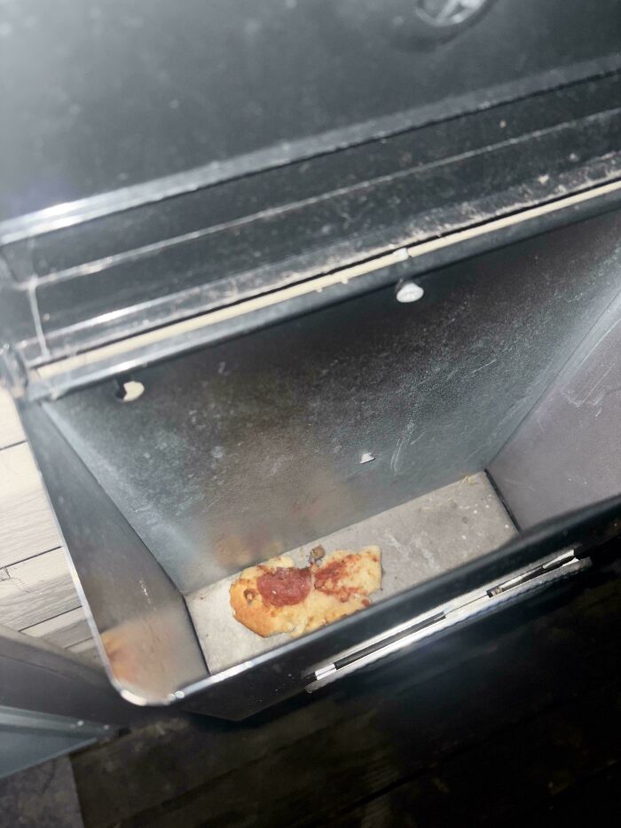 Wait, People Actually Found These Crazy Weird Things?!