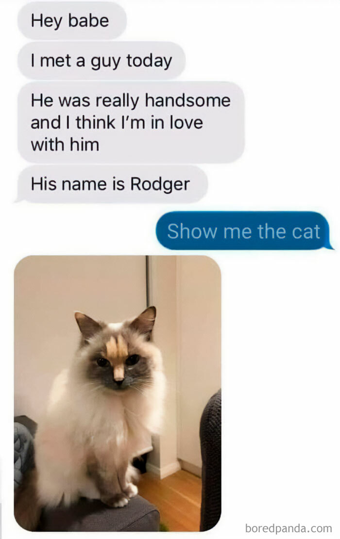 Get Ready to Giggle: 75 Animal Memes That Are Basically Comedy Gold