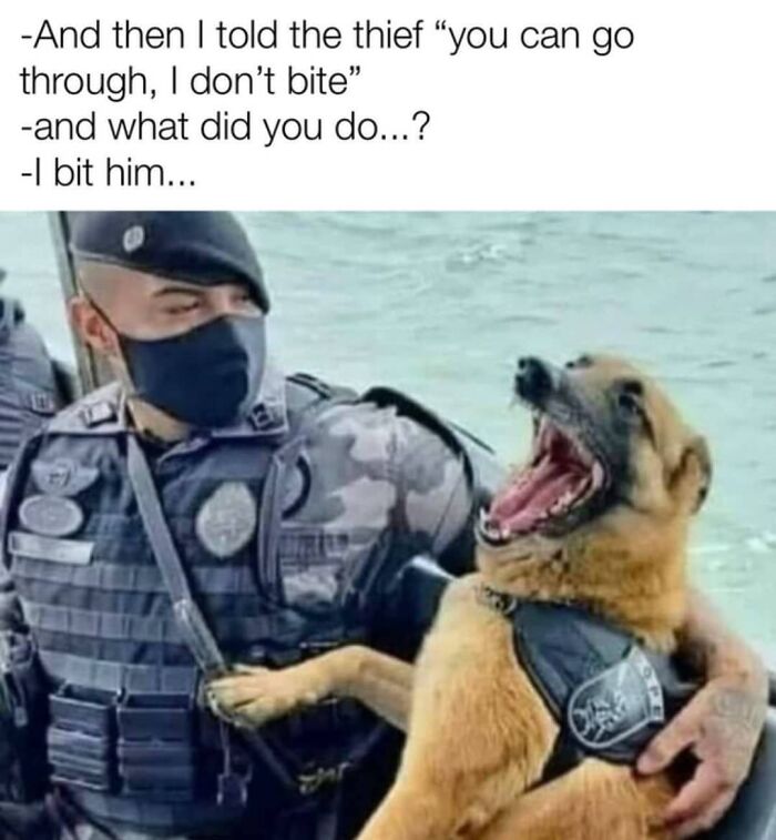 Get Ready to Giggle: 75 Animal Memes That Are Basically Comedy Gold