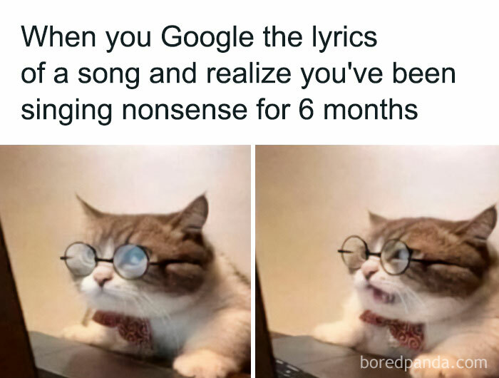 Get Ready to Giggle: 75 Animal Memes That Are Basically Comedy Gold