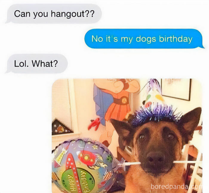 Get Ready to Giggle: 75 Animal Memes That Are Basically Comedy Gold