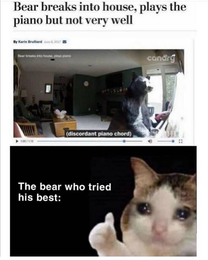Get Ready to Giggle: 75 Animal Memes That Are Basically Comedy Gold