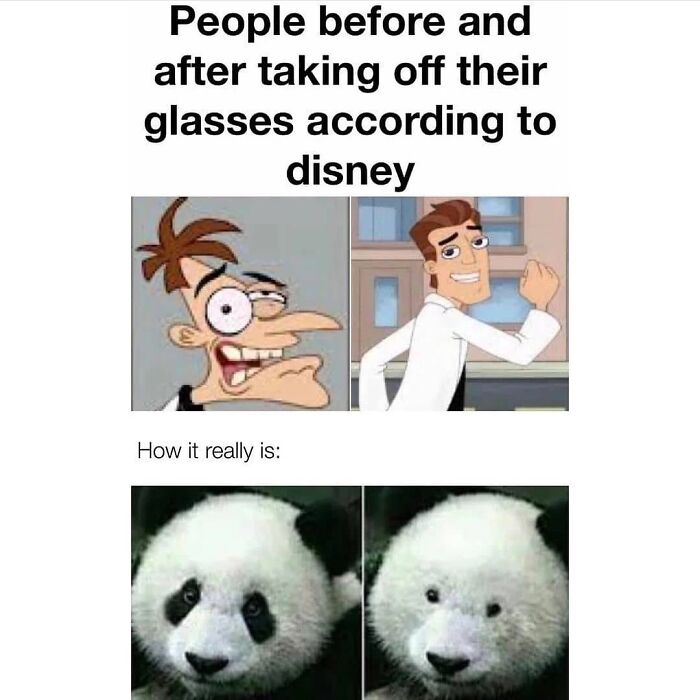 Get Ready to Giggle: 75 Animal Memes That Are Basically Comedy Gold