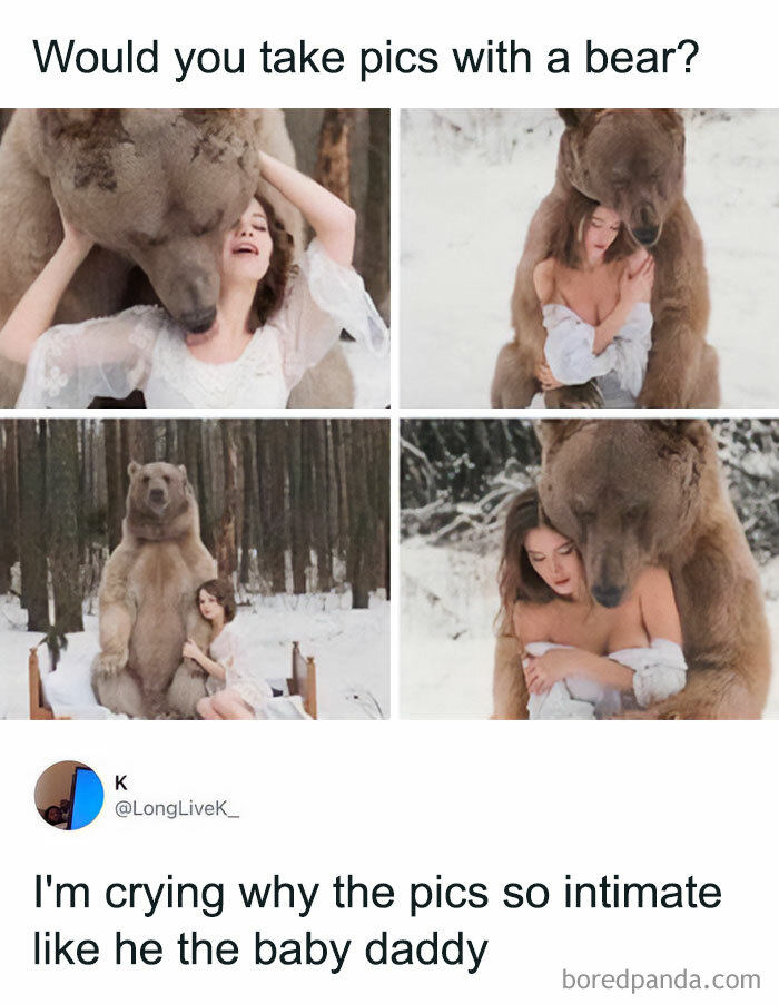 Get Ready to Giggle: 75 Animal Memes That Are Basically Comedy Gold