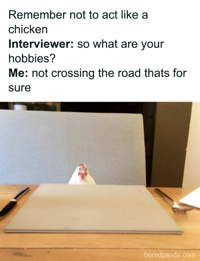 Get Ready to Giggle: 75 Animal Memes That Are Basically Comedy Gold