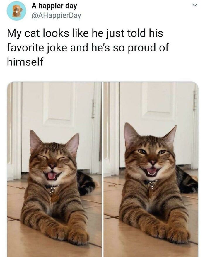 I NEED to Know the Punchline to This One