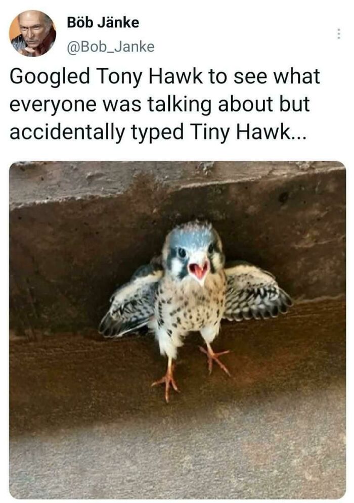 The 60 Funniest Animal Pics That Will Totally Make Your Day