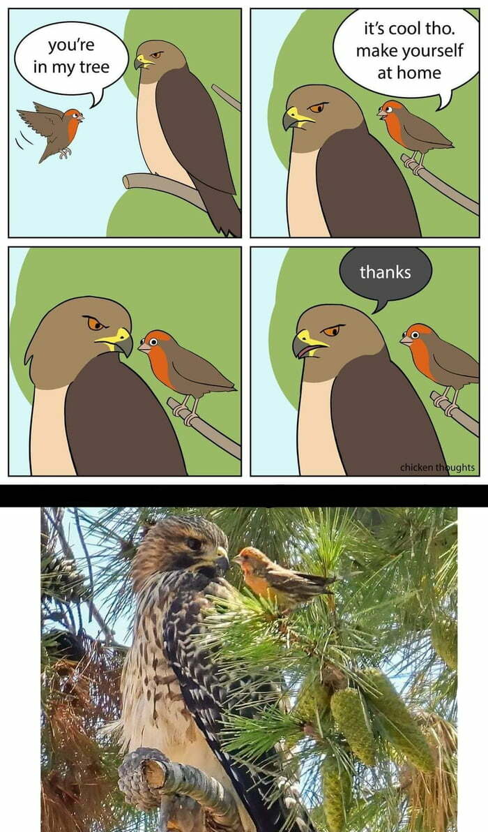 The 60 Funniest Animal Pics That Will Totally Make Your Day