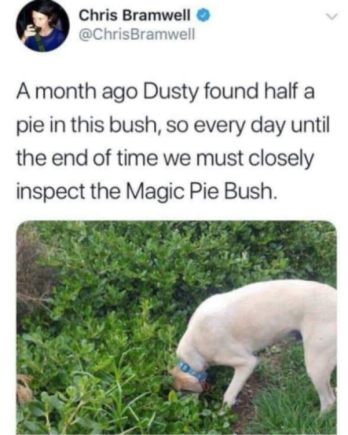 The 60 Funniest Animal Pics That Will Totally Make Your Day
