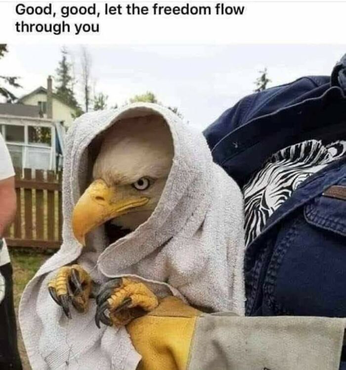 The 60 Funniest Animal Pics That Will Totally Make Your Day
