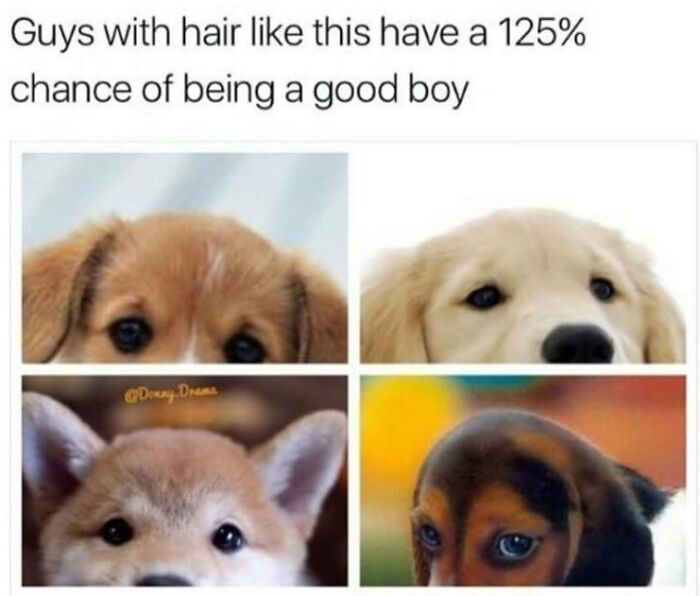 The 60 Funniest Animal Pics That Will Totally Make Your Day