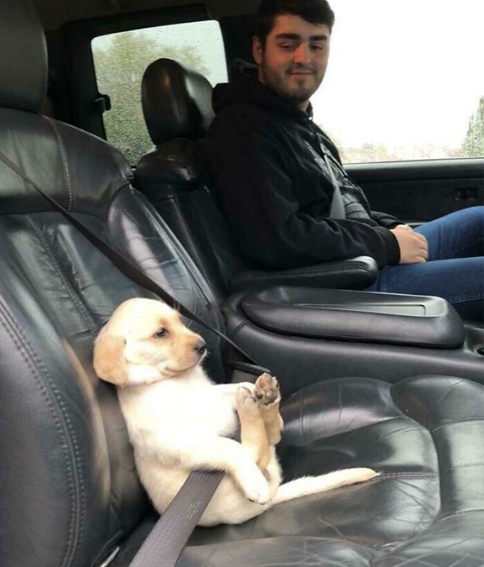 The 60 Funniest Animal Pics That Will Totally Make Your Day
