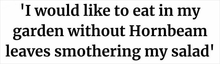 Wait, People Actually Got This Mad About Parking Lines?