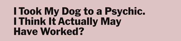 Wait, People Actually Got This Mad About Parking Lines?