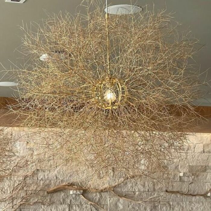 No Need To Decorate For Halloween, Spiders Got It Covered