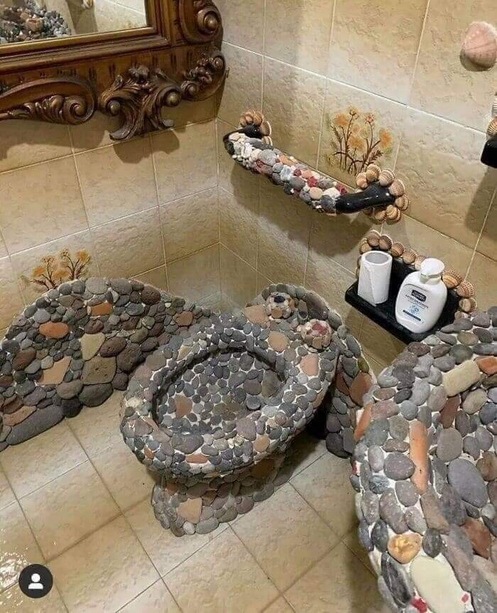 Toilet Meets Bidet, A Cleaning Catastrophe