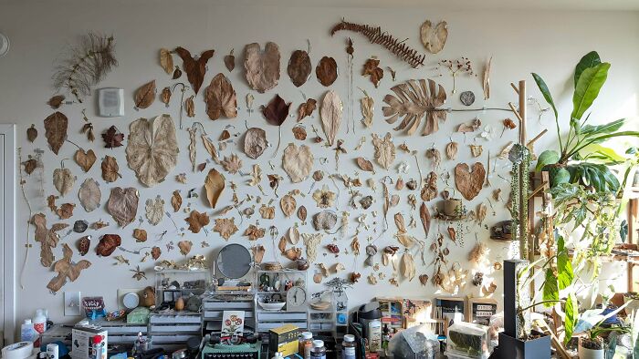 Dried Leaf Wall: Autumn Forever But Dust Always